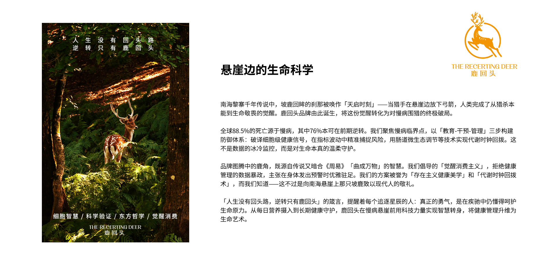 品牌矩阵_01.jpg
